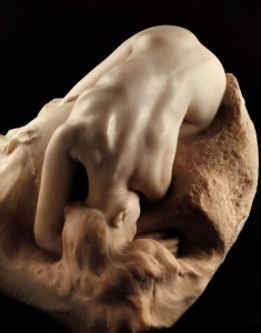 Rodin 6